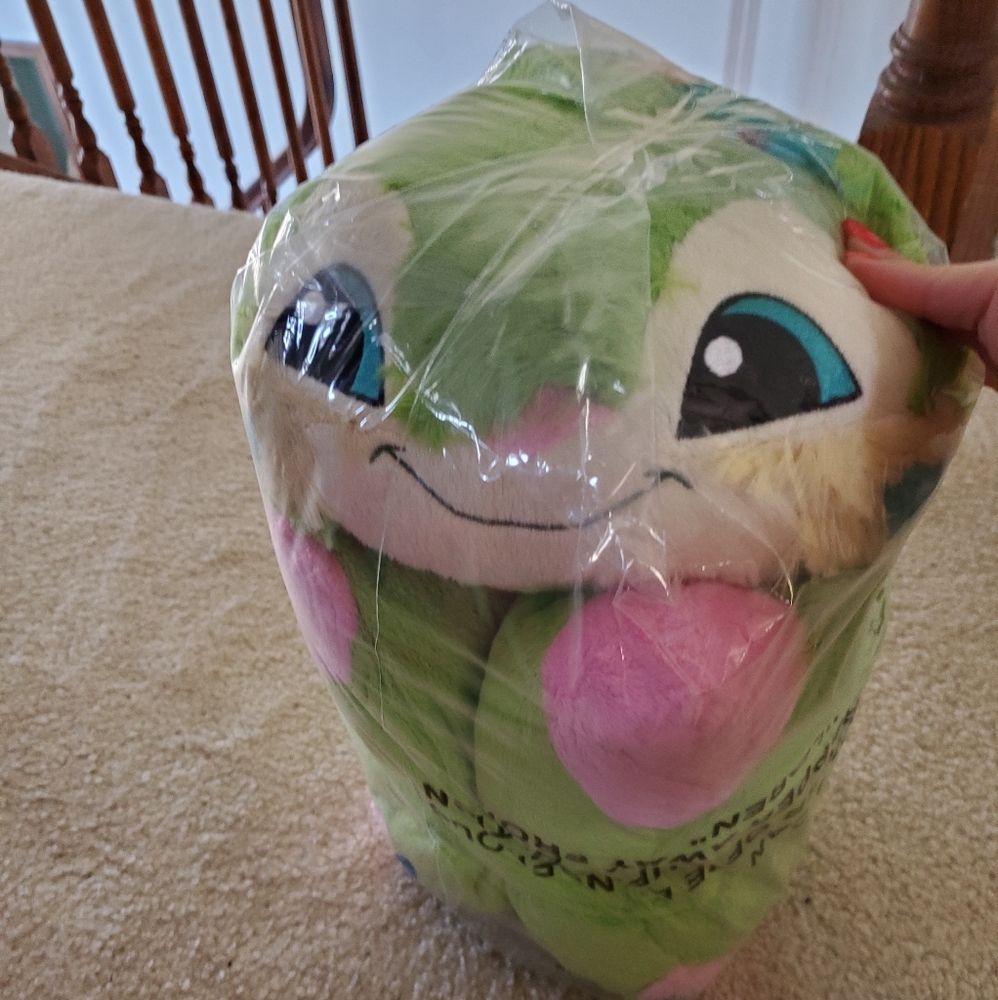 Pillow pet